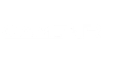 partners who work with LEX casino